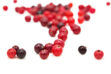 Ripe organic cranberry isolated on white background. Сopy space on a white background.	