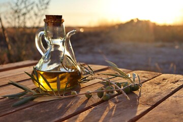 close-up of an extra virgin oil jug with slice of bread and olive oil tree branch