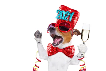 Tableaux ronds sur aluminium Chien fou bonne année chien célébration