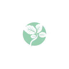 Leaf Mint Logo Template vector symbol