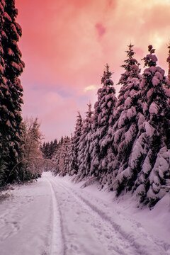 Wintertraum mit Schnee im Wald und Sch&ouml;nem Himmel