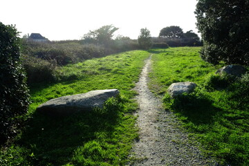 A small path in the nature.