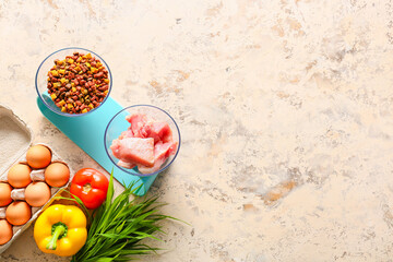 Dry and fresh pet food on light background