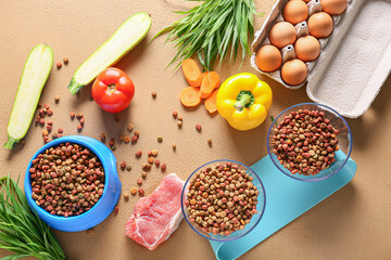 Dry and fresh pet food on color background