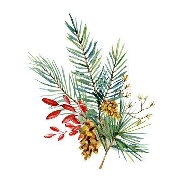Watercolor Christmas bouquet with fir branches, red barries, pine cone. Winter greenery banner  for christmas card, greeting card, bridal card, wedding invintation, baby shower.