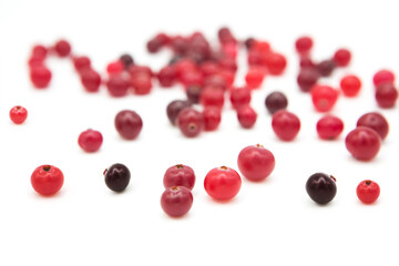 Ripe organic cranberry isolated on white background. Сopy space on a white background.