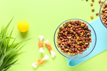 Bowls with dry pet food and grass on color background
