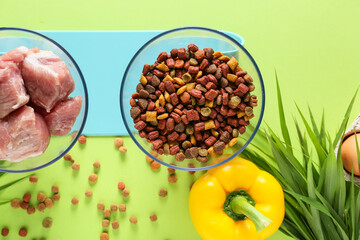 Dry and fresh pet food on color background