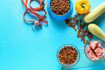 Dry and fresh pet food on color background