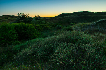 Texel im Sonnenuntergang und Gr&uuml;ner Landschaft 
