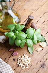 Pesto sauce in a olive wooden bowl with pine nuts, basil, parmesan and garlic over rustic table.