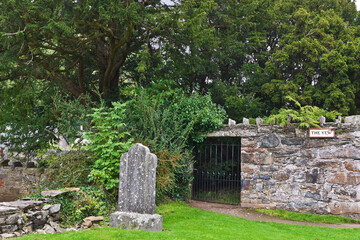 The Fortingall Yew, said to be at least 3,000 years old and the oldest tree in Europe, stands protected by a stone wall in the village churchyard at Fortingall, Perth and Kinross, Scotland.