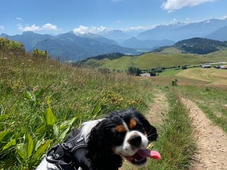 Chaine des Alpes - Mont-Blanc