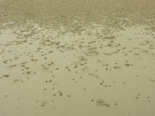 Crab hole on sand beach at Pranburi, Prachuap Khiri Khan, Thailand - habitat of ghost crab ( Ocypode ceratophthalmus )