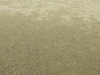 Crab hole on sand beach at Pranburi, Prachuap Khiri Khan, Thailand - habitat of ghost crab ( Ocypode ceratophthalmus ) at low tide