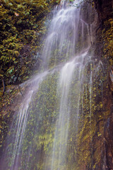 Fototapeta na wymiar Little green forest waterfall near the Batu Cave Mountains in Kuala Lumpur, capital of Malaysia