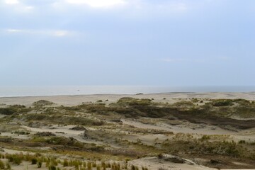 Fototapeta na wymiar Sand dune on the Baltic sea coast