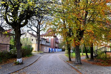 Fototapeta premium street in autumn
