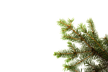 Pine branches isolated on white background, seamless pattern. Christmas and New Year background.