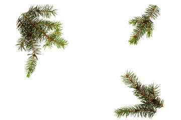 Fototapeta premium Pine branches isolated on white background, seamless pattern. Christmas and New Year background.
