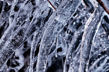 Blurred background of ice-covered branches.