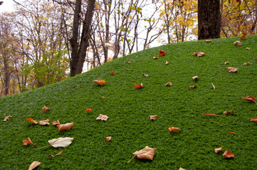 A green sheared artificial hill, on which autumn leaves fell. Trees in the background. Soft focus.
