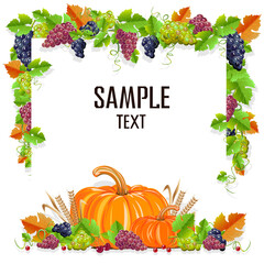 Happy Thanksgiving day background with pumpkins, grapes and yellow leaves. Autumn holiday. Vector illustration.