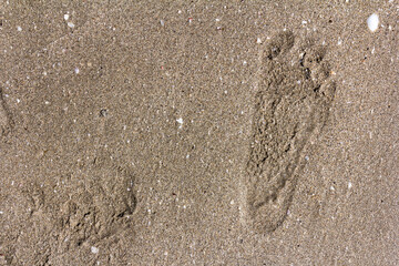Texture background Footprints of human feet on the sand near the water on the beach
