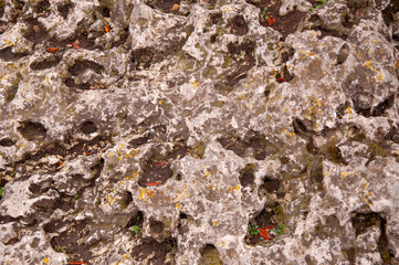 The beautiful texture of a large old stone, closeup