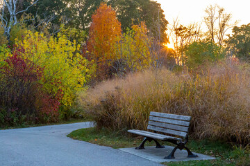 Fall Park Sunset