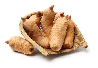  Fresh Gastrodia elata blume on white background