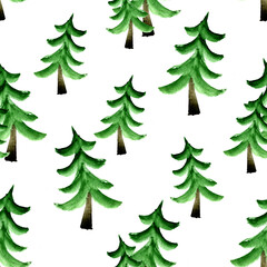 Obraz premium Fir trees on white background
