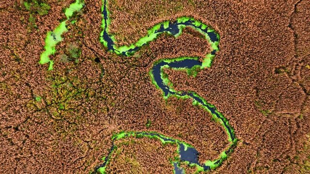 Top down view of river, algae and brown swamps