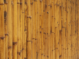 Yellow bamboo sticks in two rows, A fence or fence made of wood.