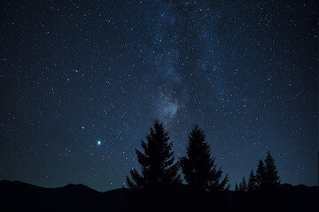  Silhouettes of a huge fir tree against the background of the starry sky and the Milky Way. Night...
