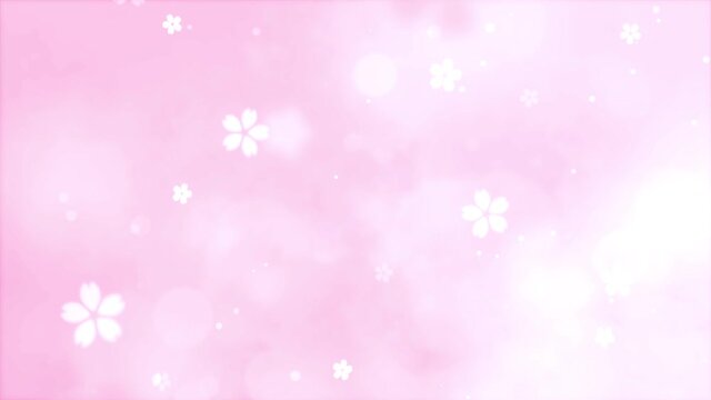 The cherry blossoms dance. Glittering background. Video material suitable for spring.