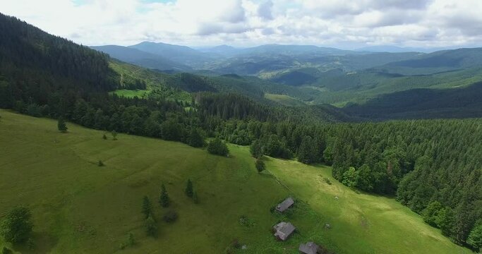 Aerial drone view of the mountain lake Synevyr in the Carpathians, Ukraine. The Carpathian mountains are covered with spruce forest and a lake among the mountains.