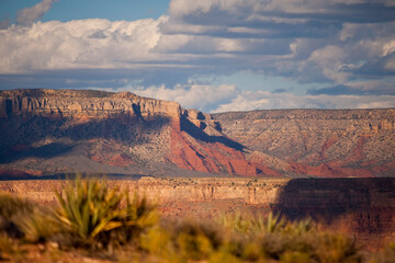 USA Mojave desert and Grand Canyon