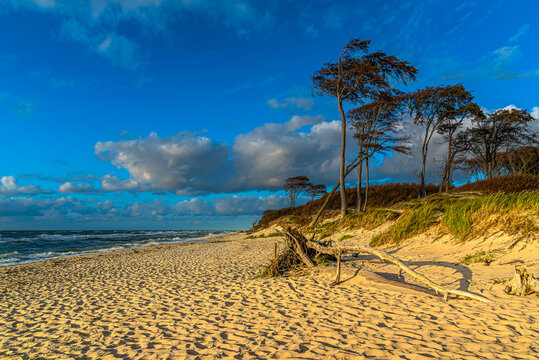 Weststrand Fischland Dar&szlig; Zingst.