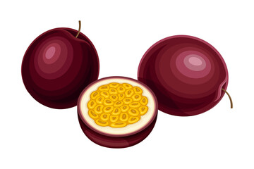 Round Dark Purple Passion Fruit with Juicy Flesh Containing Numerous Seeds Vector Illustration
