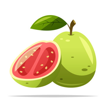 recommend clip art: Guava fruit vector isolated illustration