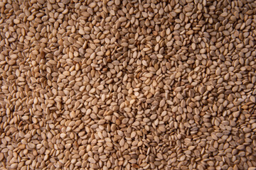 sesame seeds as a background. Seeds detail