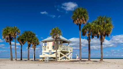 beach with palm trees in Key Biscayne in Florida
