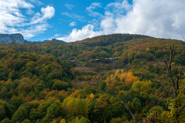 Fototapeta premium Autumn nature landscapes. ( wooden village houses ) Sinop, Turkey.
