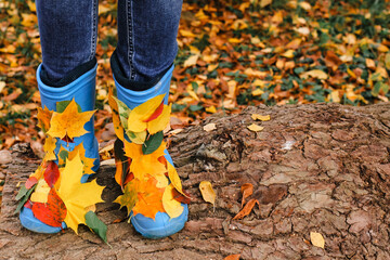 Blue rain boots with autumn colorful red, orange, yellow leaves on rustic background. Autumn mood, fall, trendy and stylish concept.