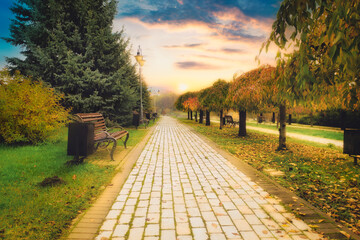 The concept of walking along an empty sidewalk alley made of tiles in a quiet autumn park. Alley with pavement, benches and yellow foliage on the trees in the autumn morning in an empty park.