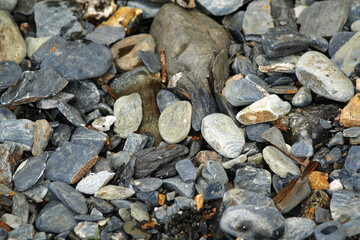 Colorful small pebbles on the river bank