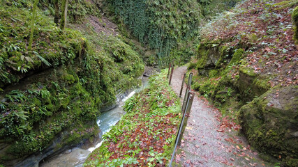 Fototapeta premium Les Gorges du Chauderon, Montreux, Switzerland. 