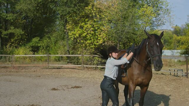 Female rider in riding clothes riding a horse. Love and friendship concept. Horseback riding