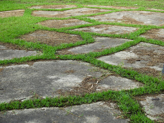 abandoned concrete floor with green grass on the lawn